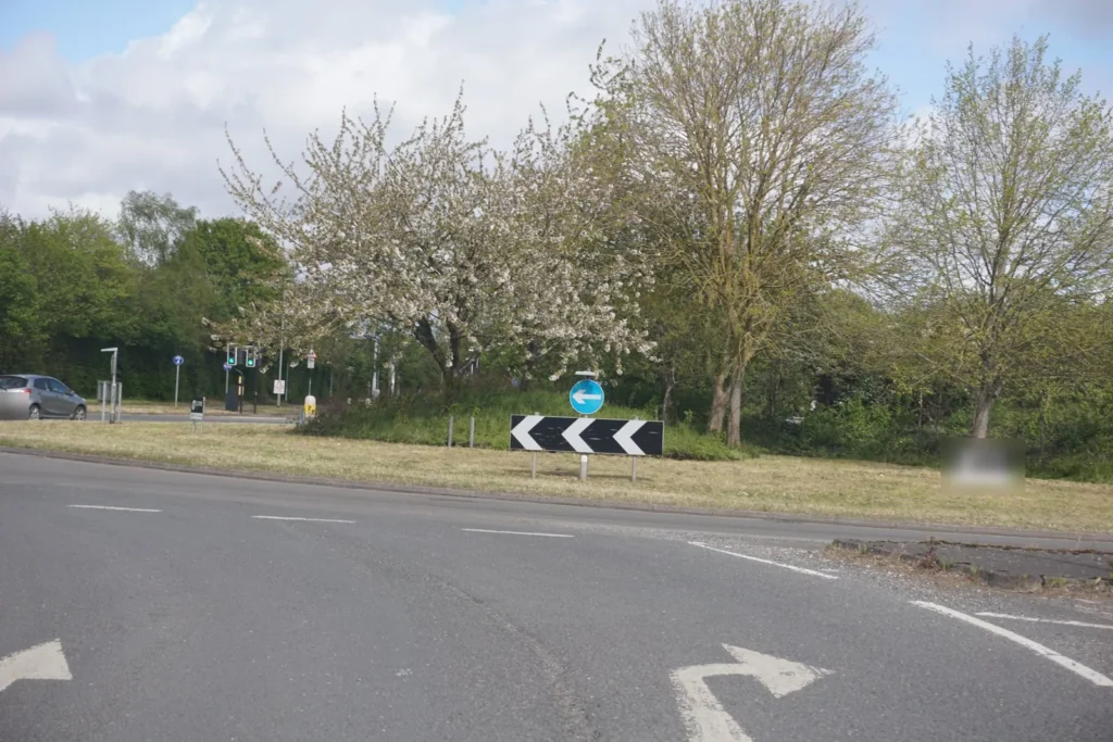 Left and right turn arrows painted on a roundabout approach, with chevrons and blossom on the island